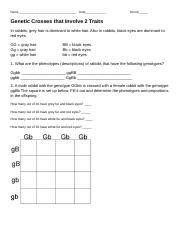Available for pc, ios and android. Bestseller: Chapter 10 Dihybrid Cross Worksheet Answer Key