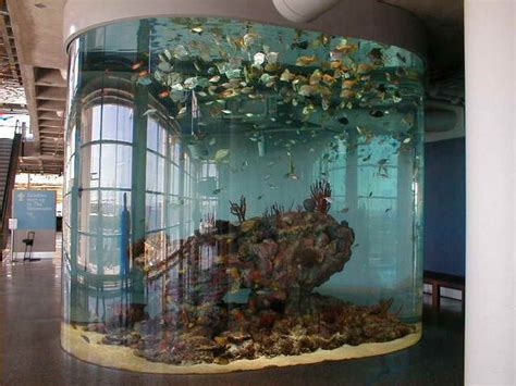Coolest Fish Tank Ideas Ideas Of Life