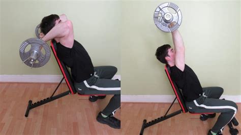 Ez Bar Overhead Tricep Extension Standing And Seated