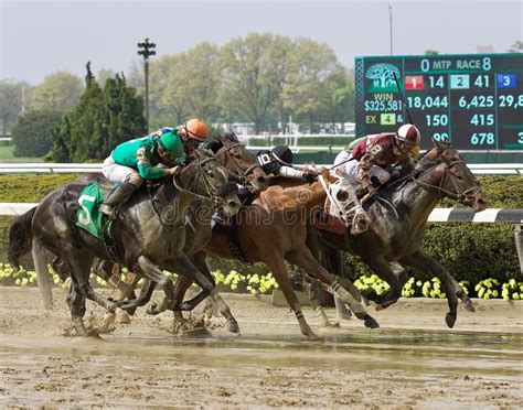 Down The Stretch They Come Editorial Image Image Of Muddy Derby