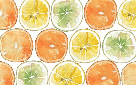 2d Orange Print Food Illustration Illustration Agent Website