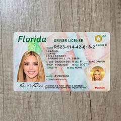 Drivers License Escambia County Fl