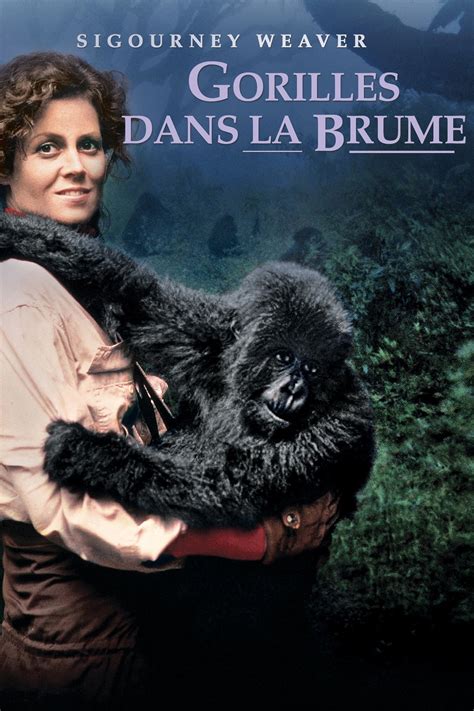 Gorilles Dans La Brume Streaming Sur Voirfilms Film 1988 Sur Voir Film