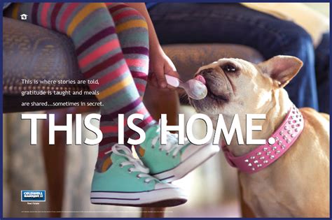 Som persona kan det være en eller flere der. Renewing a Commitment to Find Homes for Dogs - Coldwell ...
