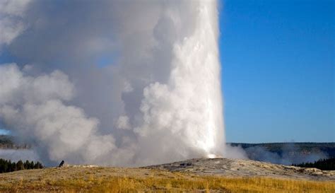 See Old Faithful And 60 Of The Worlds Geysers In Yellowstone National