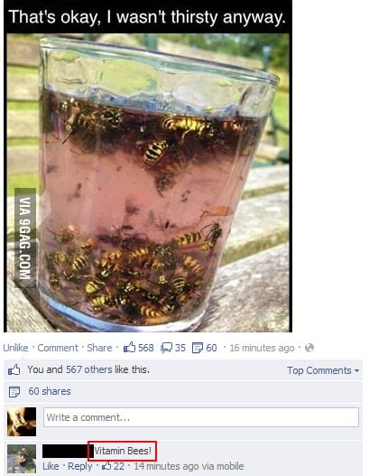 Thirsty Bees 9gag