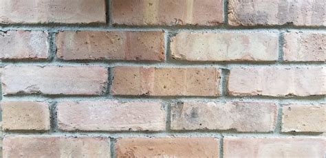 Buy Authentic Old Chicago Common Thin Brick Veneer 1 Box Of 50 Pieces