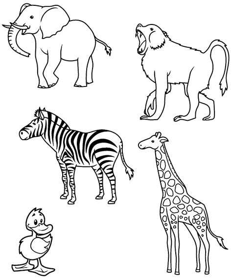 50 Desenhos De Animais Para Colorir Dicas Práticas