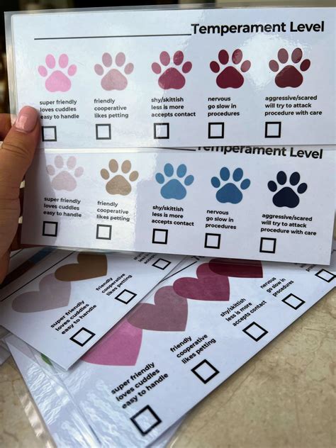 Safety Chart Veterinary Clinic Safety Guide Veterinary Safety Animal