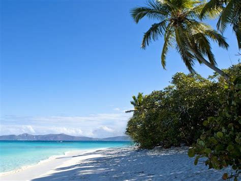Cinnamon bay is a body of water and a beach on st. cinnamon-bay-beach-st-john-02 - St John Beach Guide | St ...