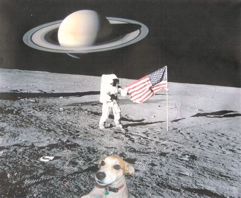 But more fundamental organisms such as bacteria and lichen can tolerate the absence of pressure and searing. The Dog Chronicles: Dog Movies-- Dogs in Space