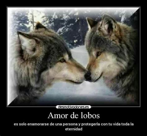 Amor De Lobos Beautiful Wolves Wolf Love Two Wolves