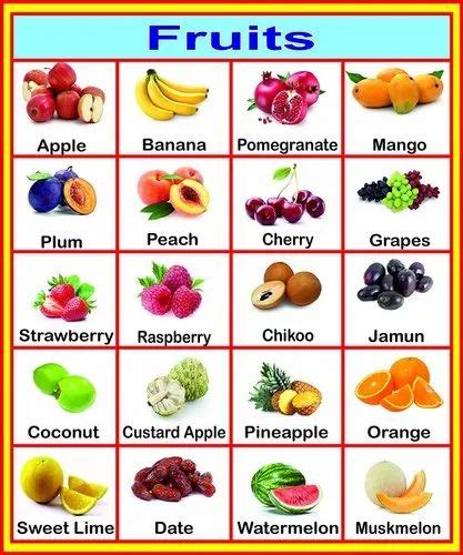 White English Children Fruit Chart Size 18x12inch At Rs 25piece In Delhi