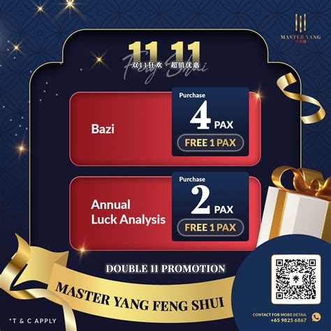 Master Yang Feng Shui Double 11 Promotions