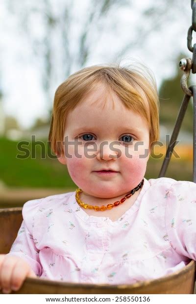 One Year Old Girl On Swing Stock Photo 258550136 Shutterstock