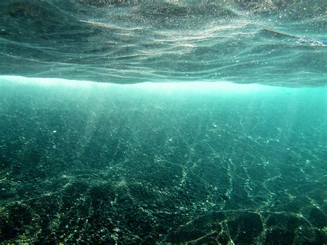 Underwater Sunlight Photograph By Christopher Johnson Fine Art America