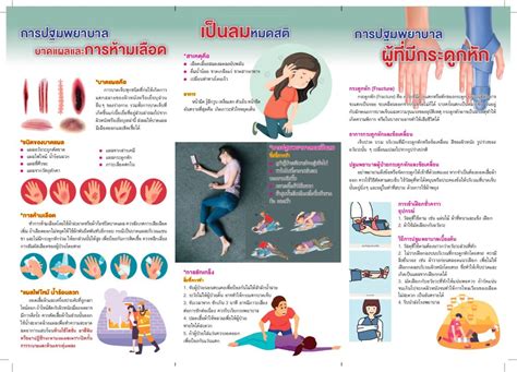 การปฐมพยาบาลเบื้องต้นและช่วยชีวิตขั้นพื้นฐาน First Aid To Safe Life