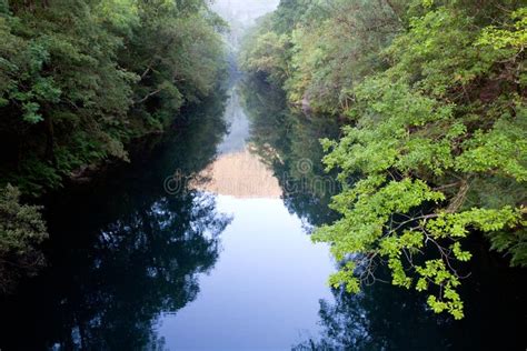 Beautiful Scenery Of A River Stock Image Image Of Park Costa 20871637