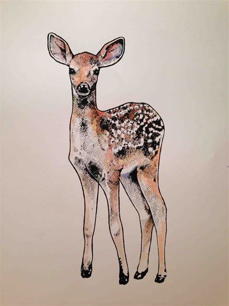 A Fawn Illustration I Silkscreened And Painted With Water Colours