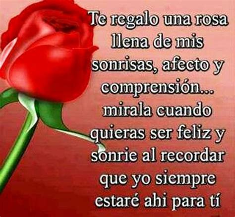 Siempre Rosas Hermosas Con Frases Poemas De Rosas Rosas Con Dedicatoria