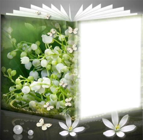 Check out inspiring examples of pixiz artwork on deviantart, and get inspired by our community of talented artists. Montage photo Muguet - Pixiz