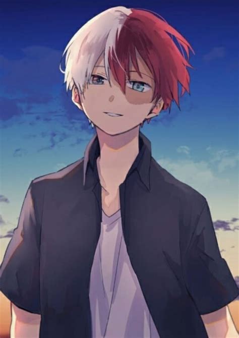 My Hero Academia Shoto Todoroki Anime