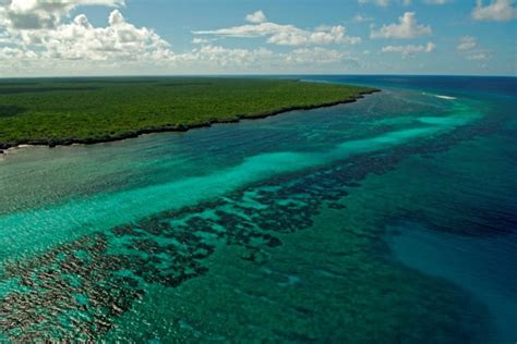 Aldabra Facts Sif Aldabra Expeditions Dive And Eco Expedition With