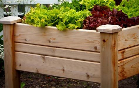 How Do You Make An Elevated Garden Bed With Legs Bed Gardening