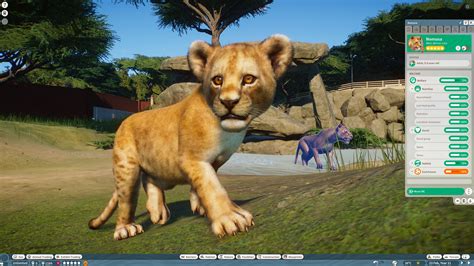 Planet Zoo 10 Things Every New Player Should Do First