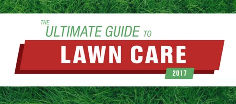 The Ultimate Lawn Care Tips Guide Abc Blog