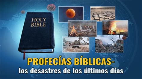 ¿cómo Debemos Tratar Las Profecías Estudios Bíblicos Cristianos