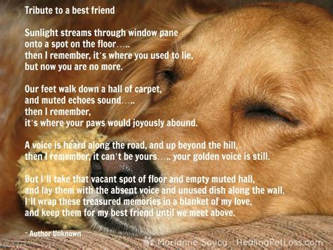 Healing Pet Loss Quote Dog Poems Pet Loss Pet Grief