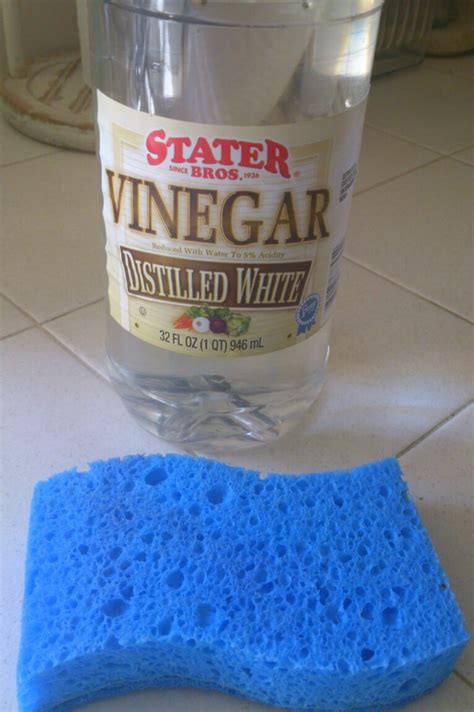 Find out how you can remove these stains as well as protect against them occurring. Sunny Simple Life: How to Remove Hard Water Stains from ...