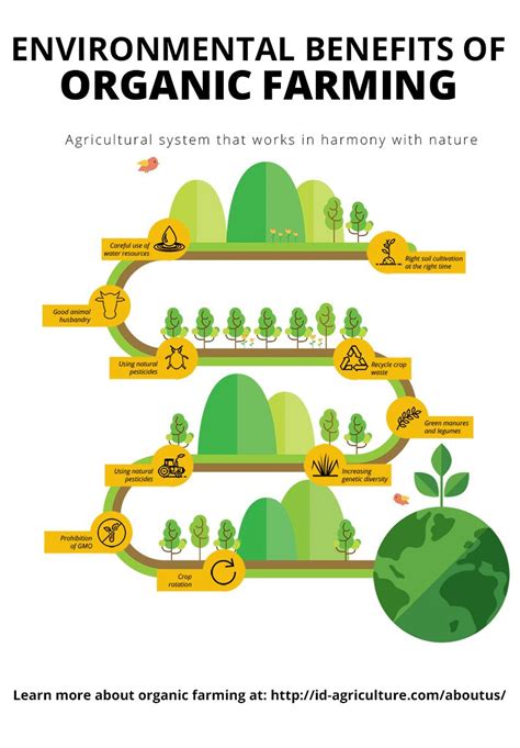 Organic Farming Produces Food While Establishing An Ecological Balance