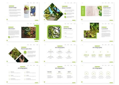 Botany Powerpoint Template Design Template Place