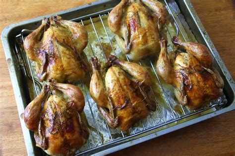 Originally developed in the 1950s, the cornish or indian. Roasted Cornish Game Hens with Garlic, Herbs and Lemon ...