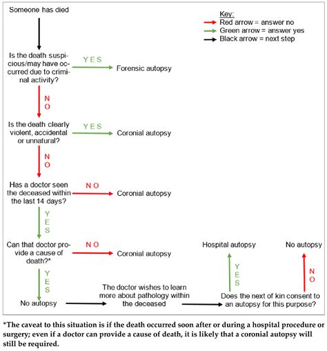 Forensic Sciences | Free Full-Text | Autopsy by Imaging: The Last 10 Years