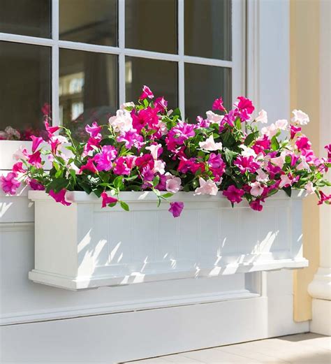 Lexington Self Watering Window Boxes With Hanging Brackets Deck