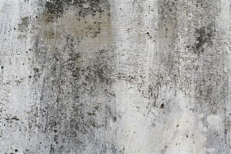 Free Texture Stock Photo - FreeImages.com