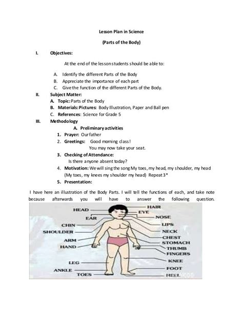 Get Grade 1 Body Parts For Kids Worksheet Images Methodsofbusinesssuccess