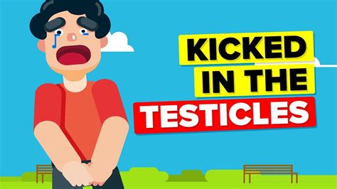 Why Does Getting Kicked In The Testicles Hurt So Badly Youtube