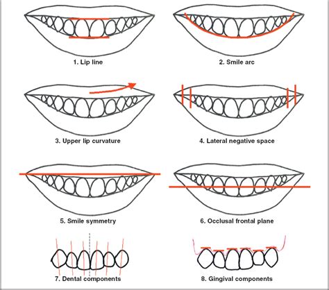 Overview The Eight Components Of A Balanced Smile Jco Online