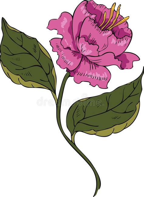 Vector Illustration Of An Abstract Blooming Flower Stock Illustration