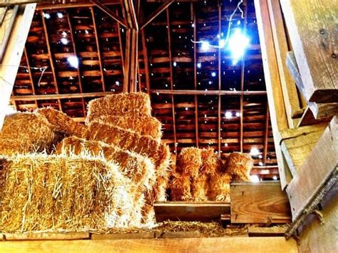 6 Ways To Stay Warm In The Barn This Winter