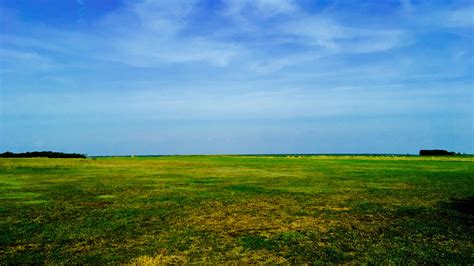 Grass Field Tree Sky Summer 4k Hd Wallpaper