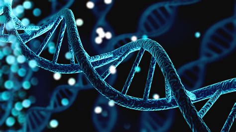 Dna Diagnosis What Is It And What Is The Process Fdna Health