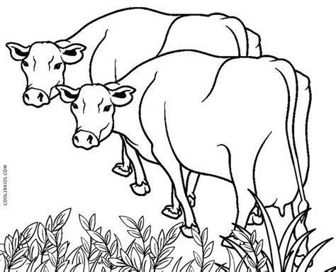 22 Coloring Page Of A Cow Free Coloring Pages