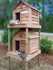 Diy outdoor cat houses will allow you to help cats within the neighborhood without having to worry about the stress or commitment of trying to bring these cats inside the house. How to skunk-proof a feral cat feeding station - YouTube ...