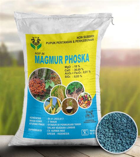 Pupuk Pertanian Edward - Supplier Rekomendasi Pupuk Pertanian - PT