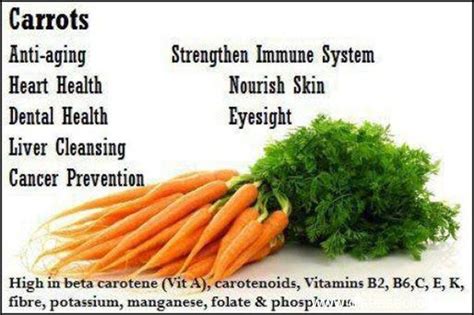 Carrot contains good amount of vitamin b6. Frutee & Vegiee: Health Benefits of Carrot